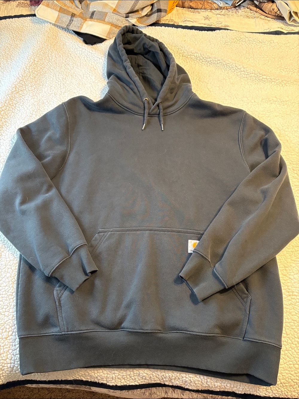 Carhartt Men's Pullover Hoodie in Charcoal Gray